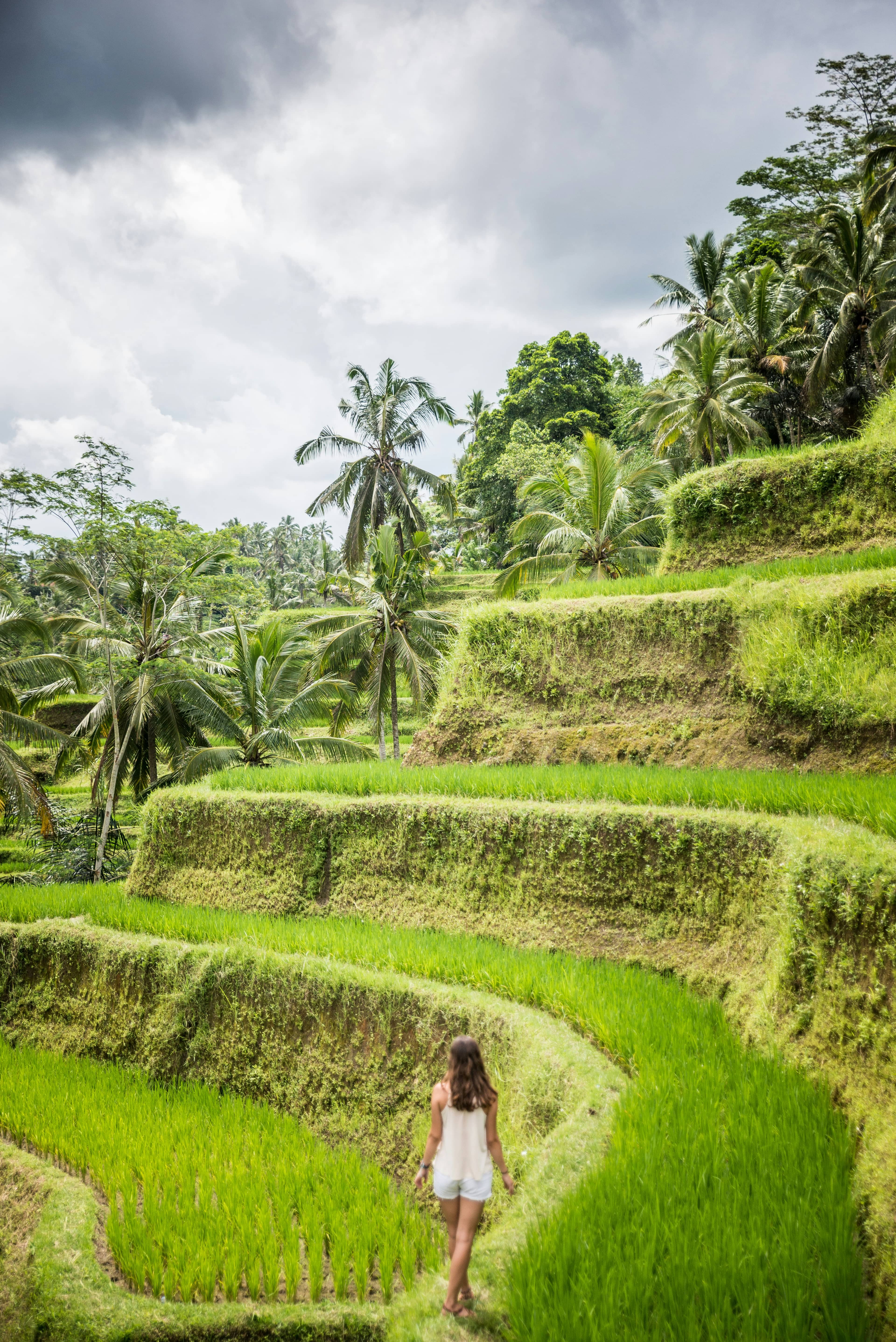 A woman walking through the Tegalalang Rice Terrace, Bali
