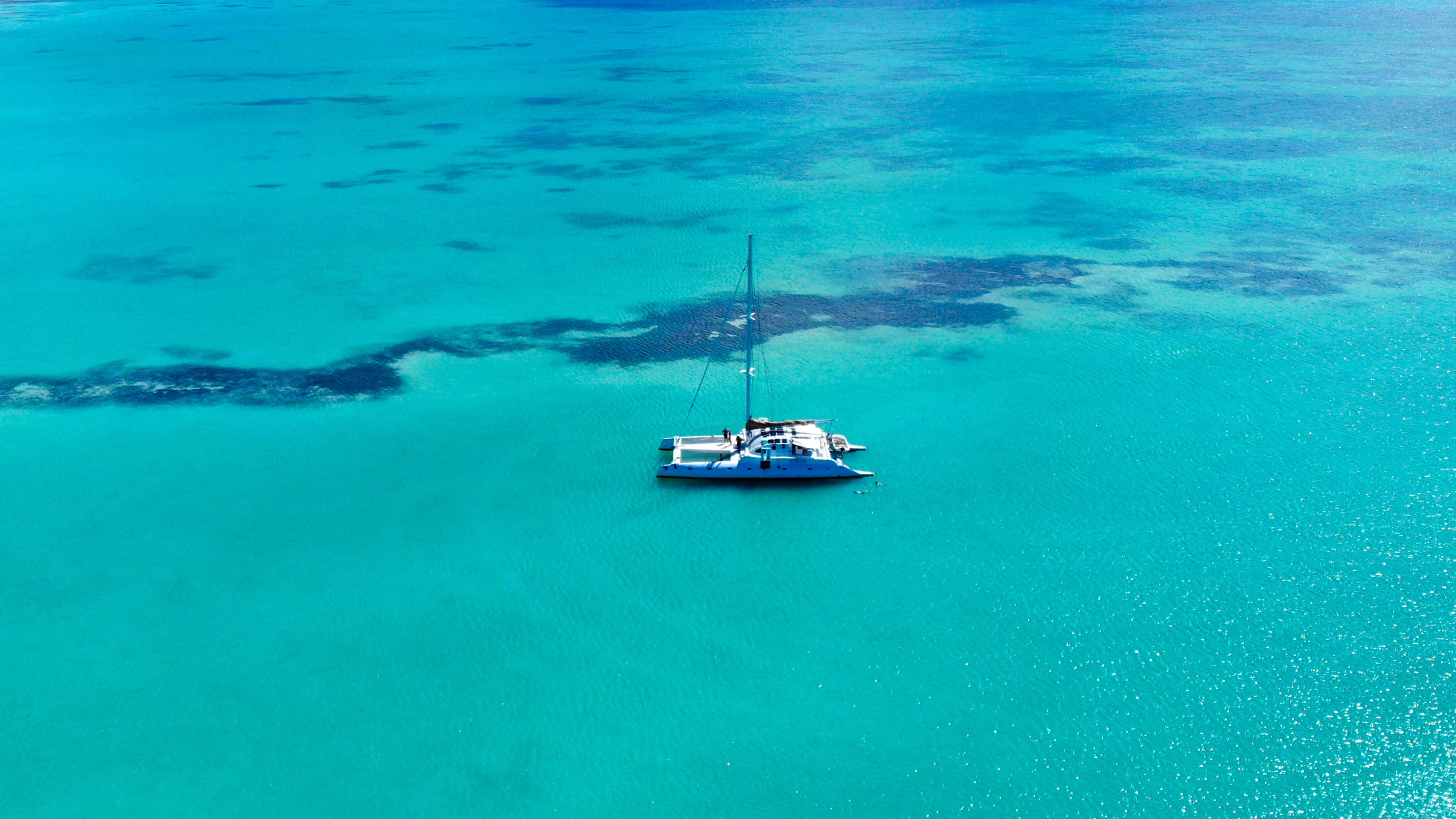 Catamaran sailing on open blue water